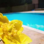 מלון Chantaco Golf & Wellness 4*