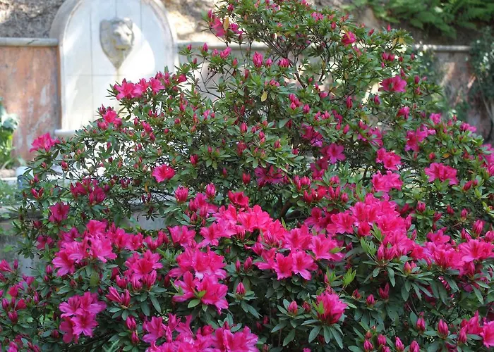 Chantaco Golf & Wellness