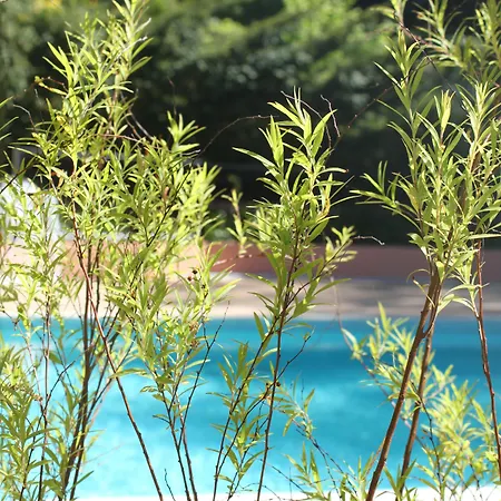 Chantaco Golf & Wellness Hotel