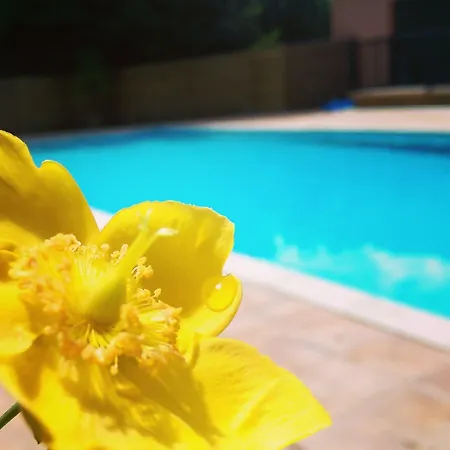 酒店 尚塔克高尔夫康体酒店 4*