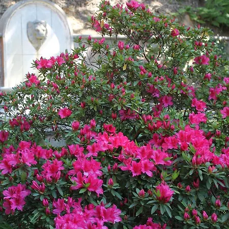 尚塔克高尔夫康体酒店