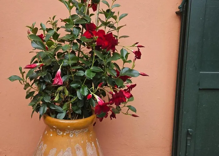 Hotel Chantaco Golf & Wellness 4*