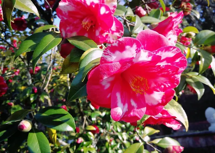 Hotel Chantaco Golf & Wellness 4*